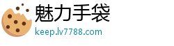 魅力手袋